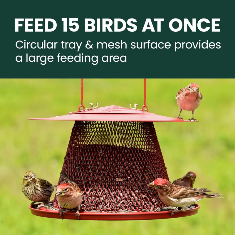 Perky-Pet Durable Wild Bird Feeder - 2.5 lb Seed Capacity - Feed up to 15 Birds at Once - Red, C00322 - Hanging Wild Bird Feeder for Outdoor Decor - Image 5